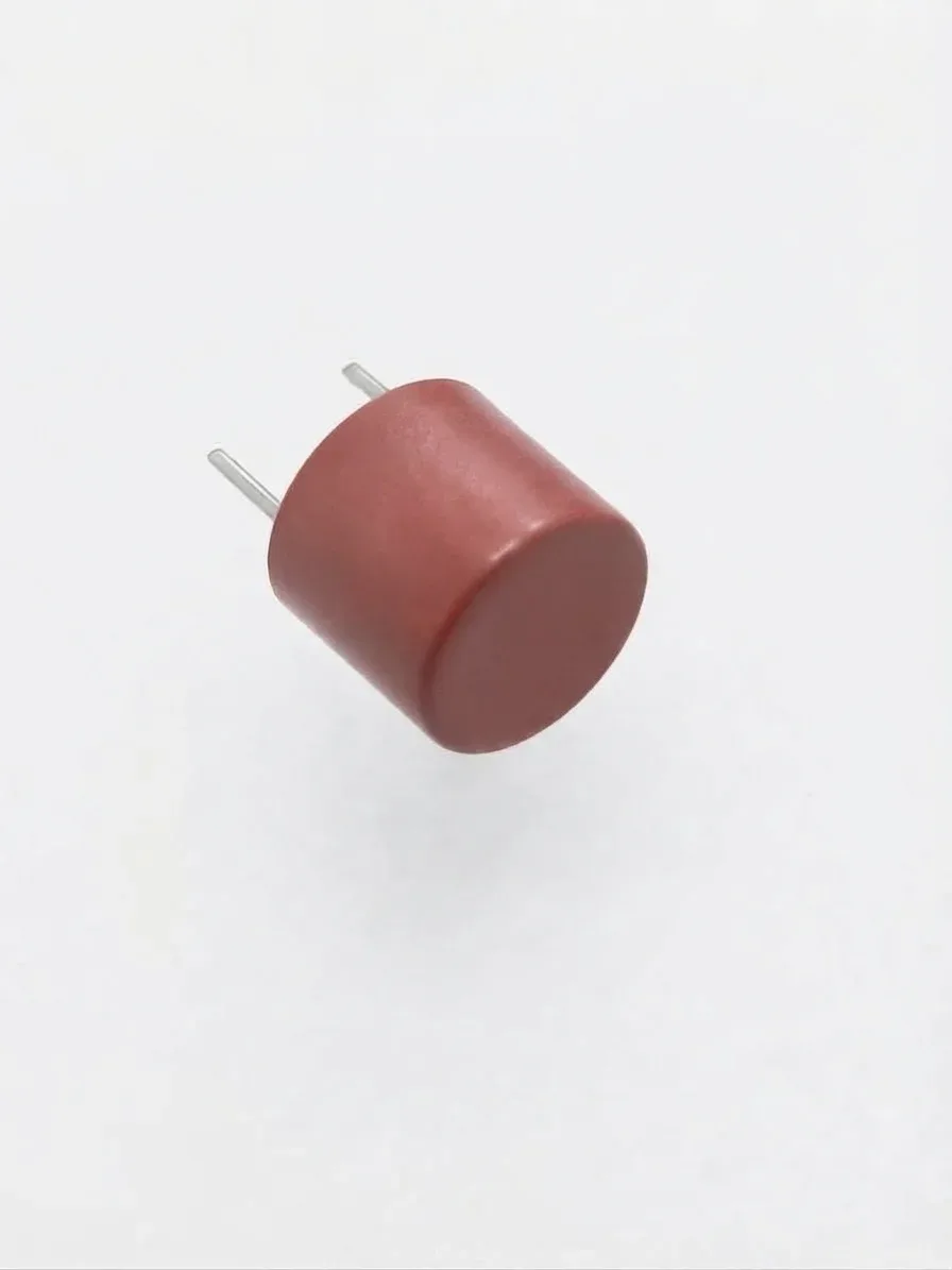 Littelfuse 1A 250V Gecikmeli Radyal Mikro Sigorta - TR5 372 Serisi (Kondansatör Tipi)
